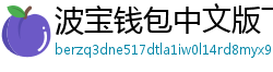 波宝钱包中文版下载